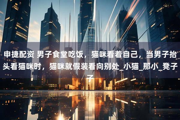 申捷配资 男子食堂吃饭，猫咪看着自己，当男子抬头看猫咪时，猫咪就假装看向别处_小猫_那小_凳子